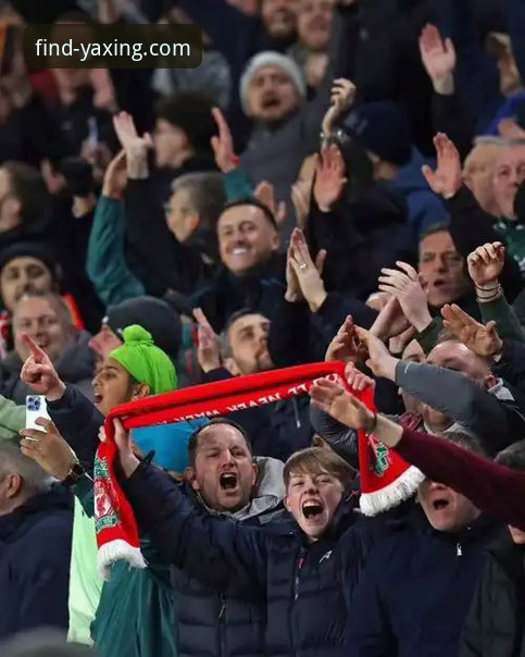 前瞻视角下的沉浸式观赛体验：利物浦3-1狼队足总杯晋级深度评测